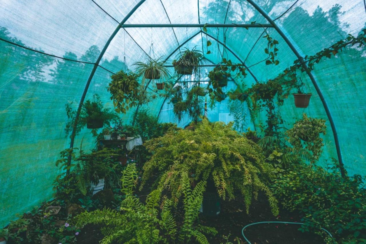 Posada Canaveral Ujarrás エクステリア 写真